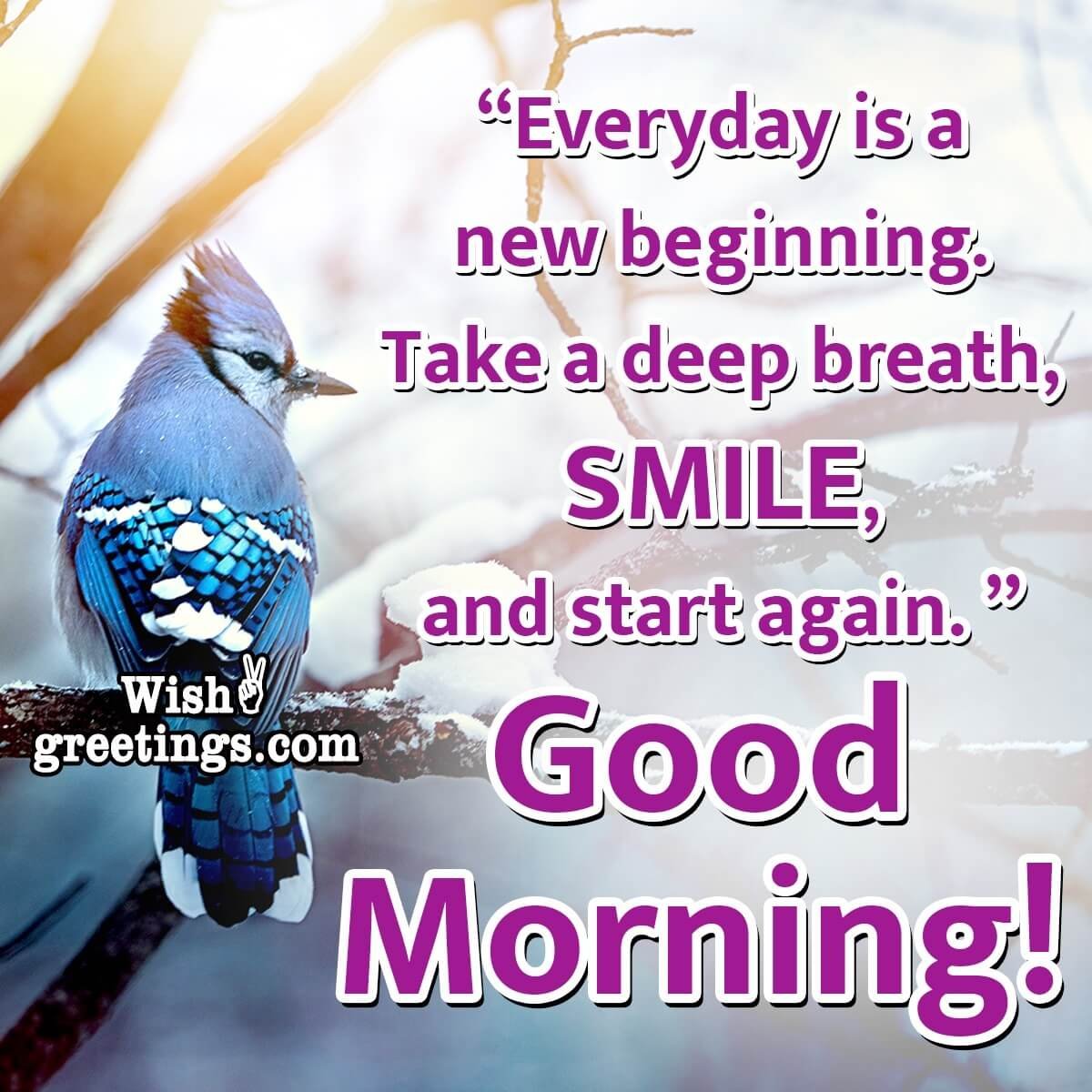 Good Morning Quotes - Wish Greetings