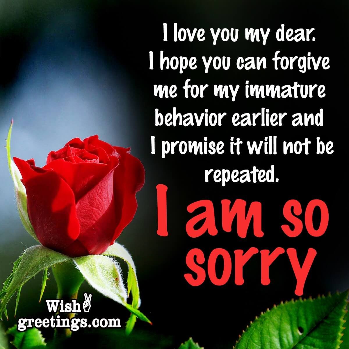 Sorry Messages - Wish Greetings