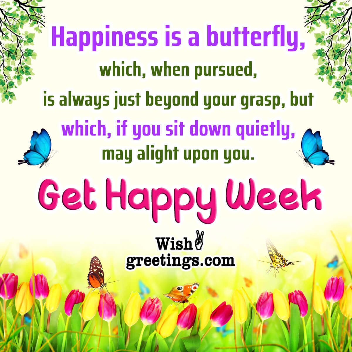 Get Happy Week Message Photo