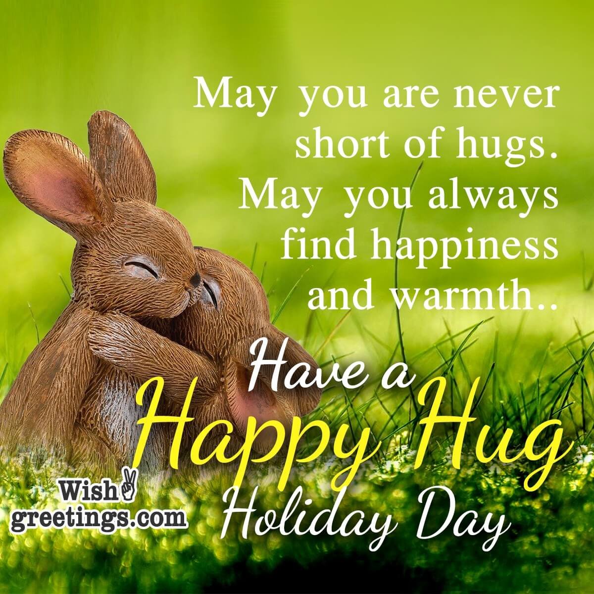 Have A Happy Hug Holiday Day