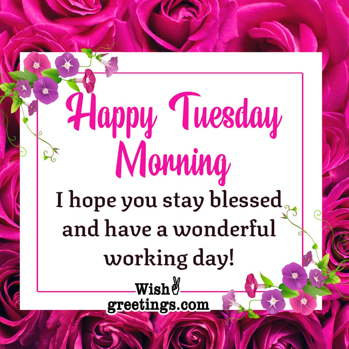 Happy Tuesday Wishes - Wish Greetings