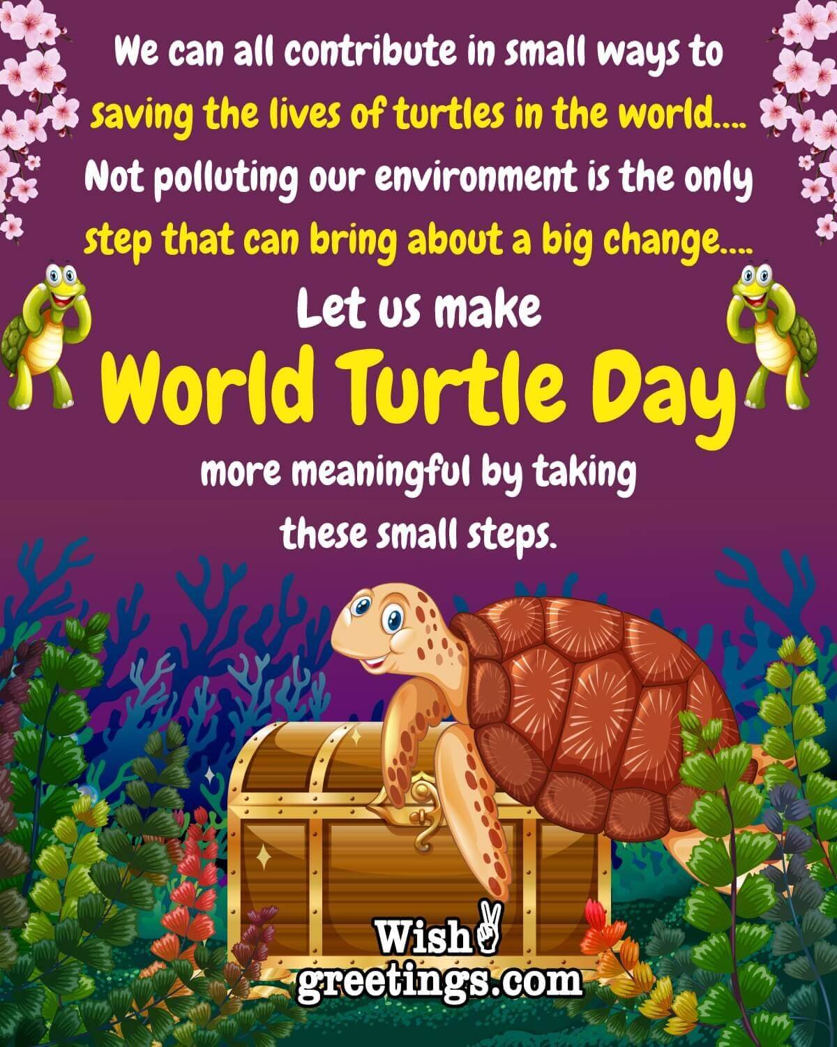 World Turtle Day Status Pic