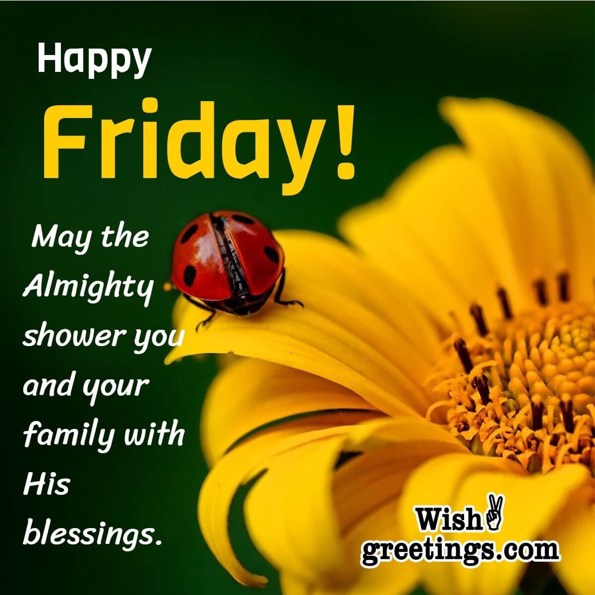 Happy Friday Blessings