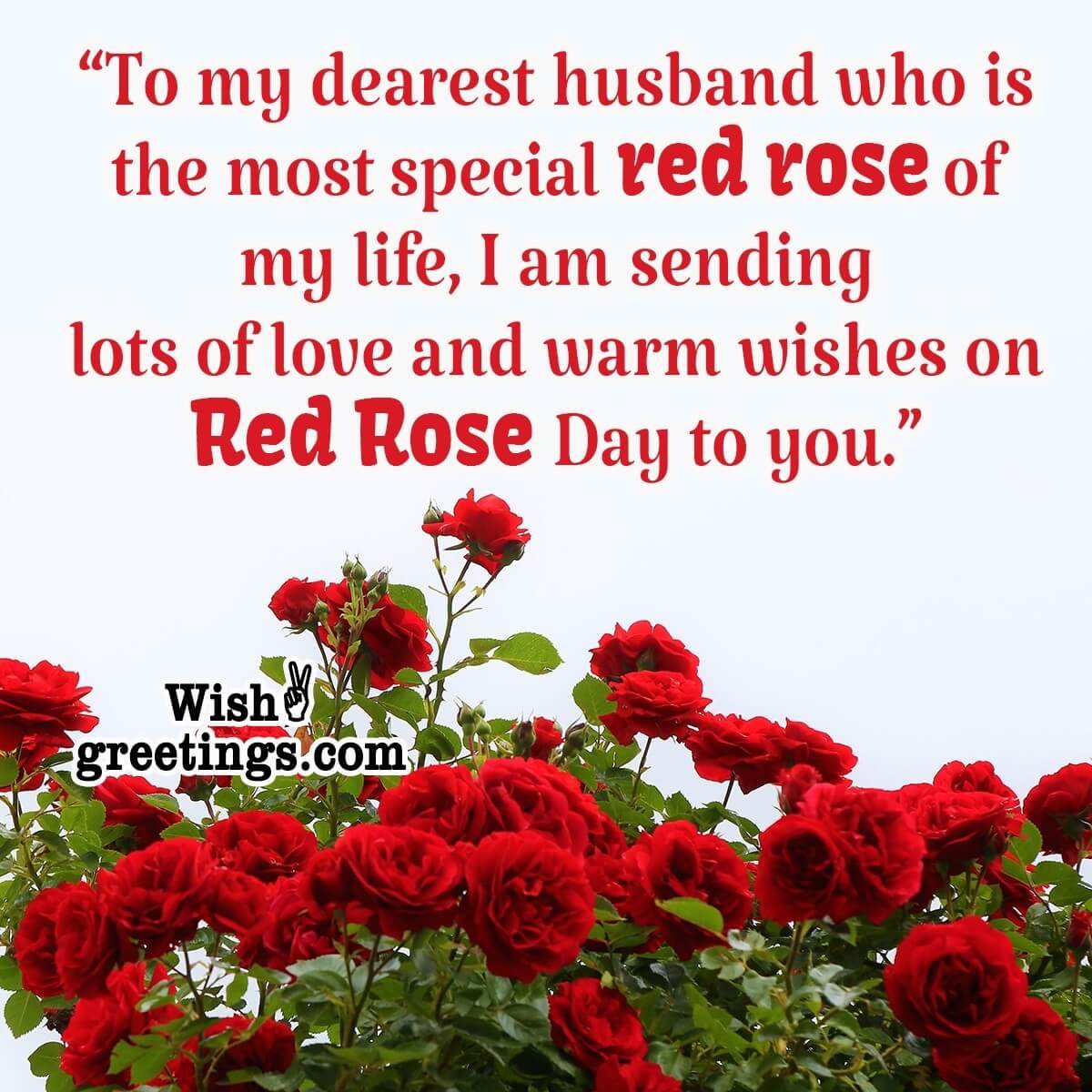 Red Rose Day Messages For Hubby