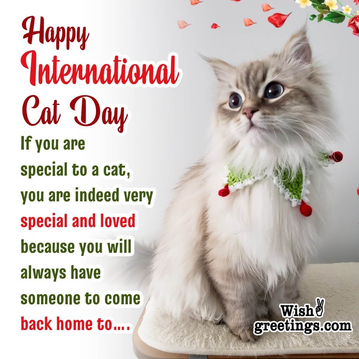 Happy International Cat Day Message Photo