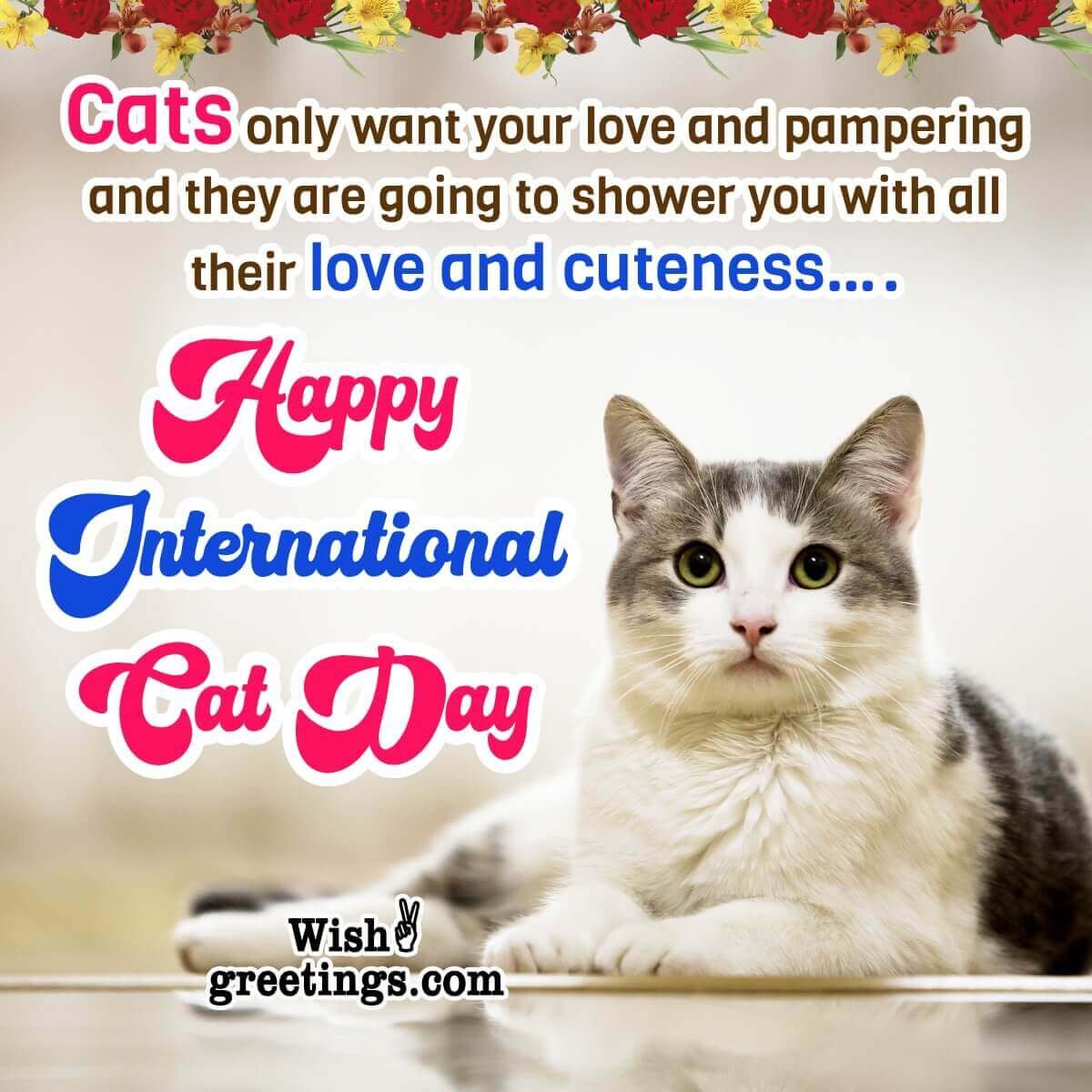 Happy International Cat Day Whatsapp Status Picture