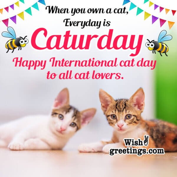 International Cat Day Wishes, Messages, Quotes Wish Greetings