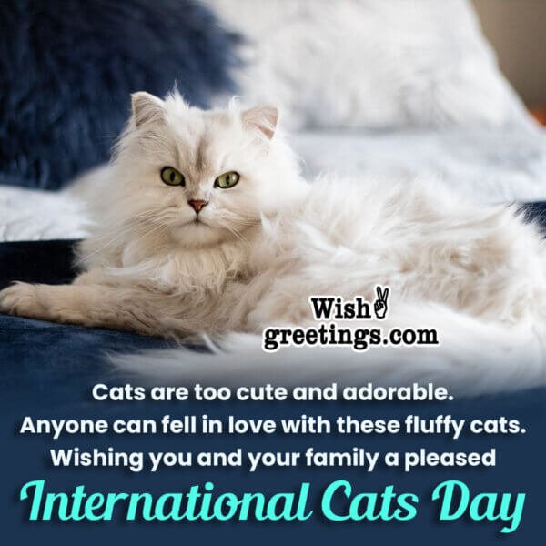 International Cat Day Wishes, Messages, Quotes Wish Greetings