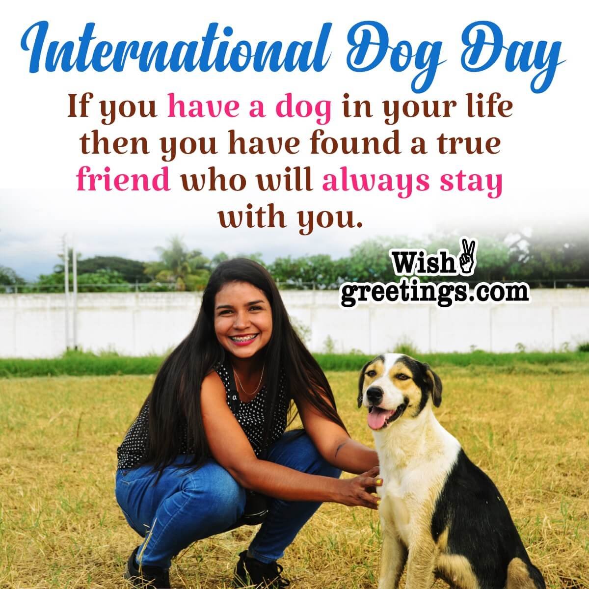International dog day Quotes And Messages Wish Greetings