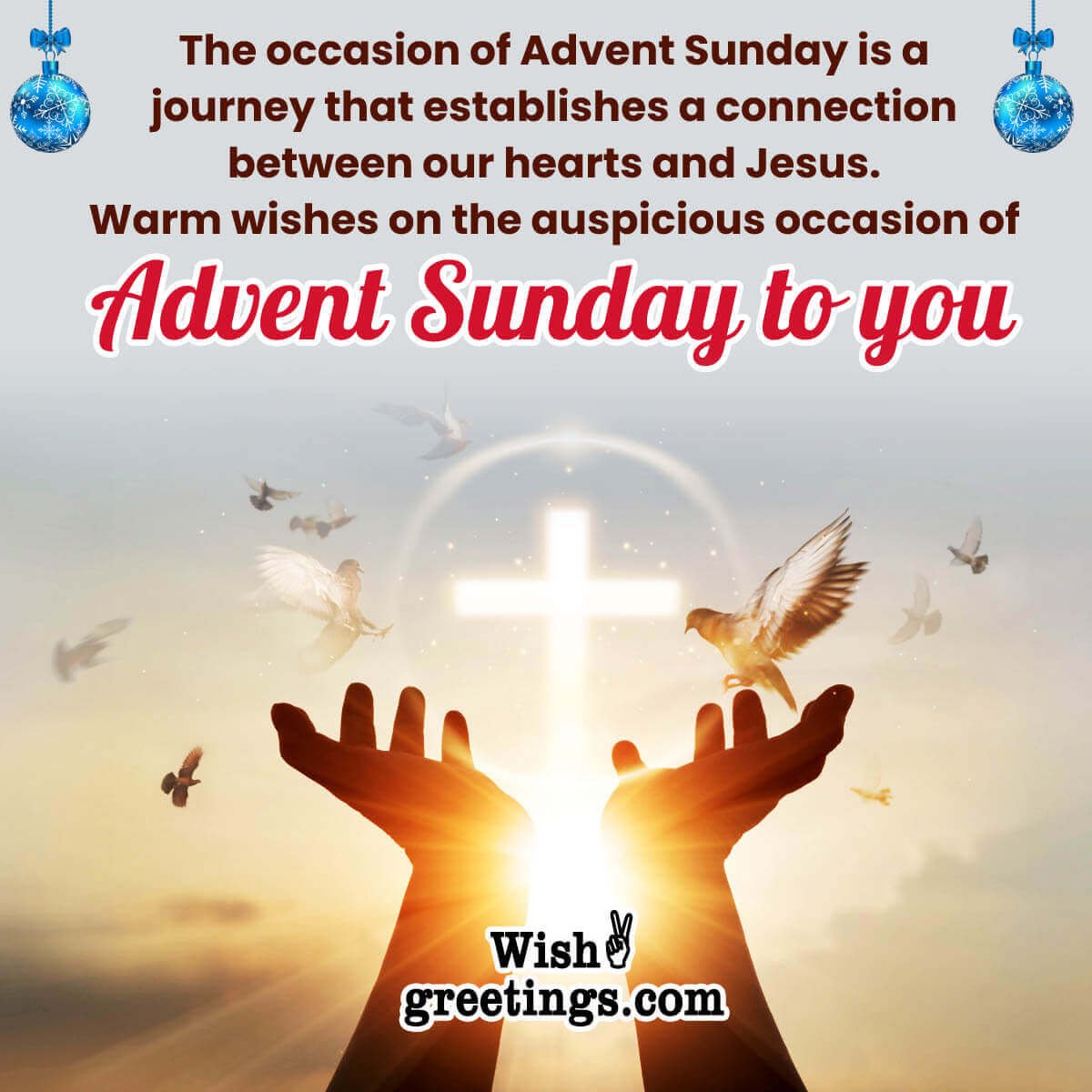 Warm Wishes On Advent Sunday