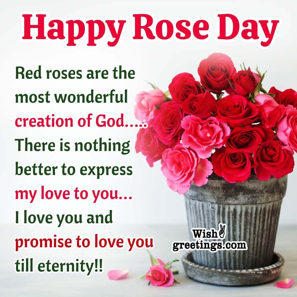 Wonderful Rose Day Message Pic
