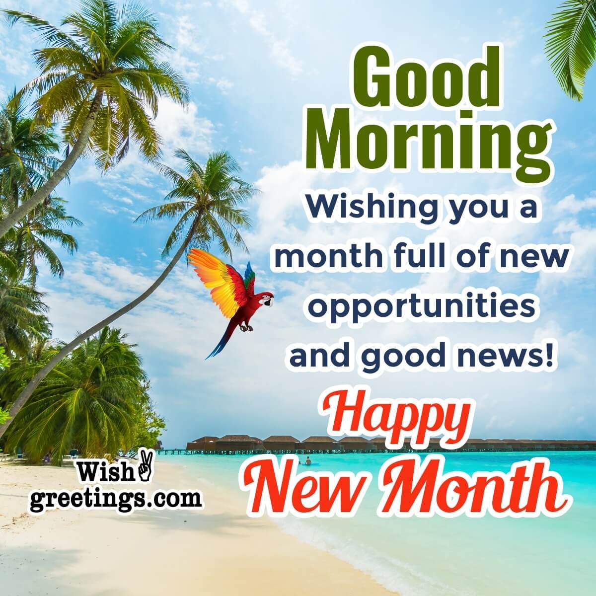 Good Morning Happy New Month Wishes