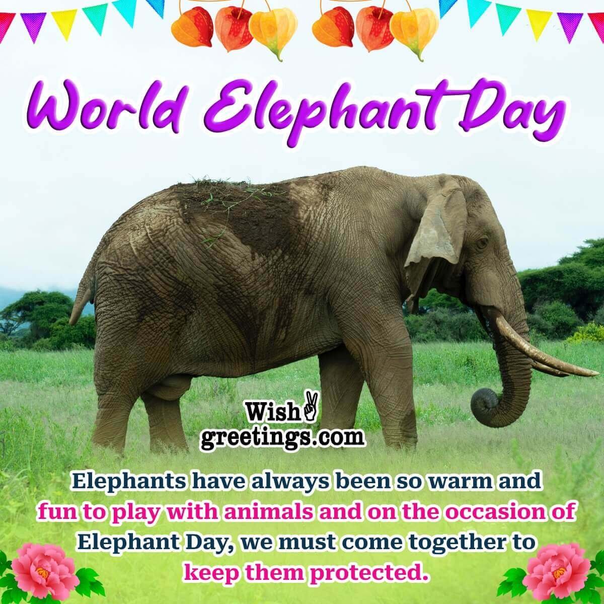 World Elephant Day Message Photo