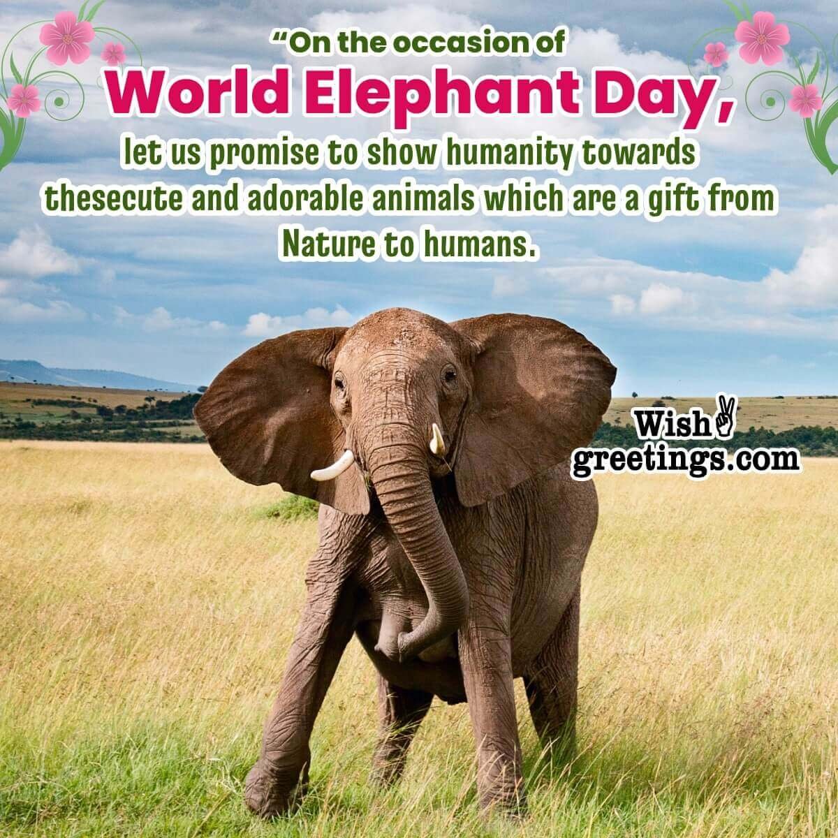 World Elephant Day Quote Pic