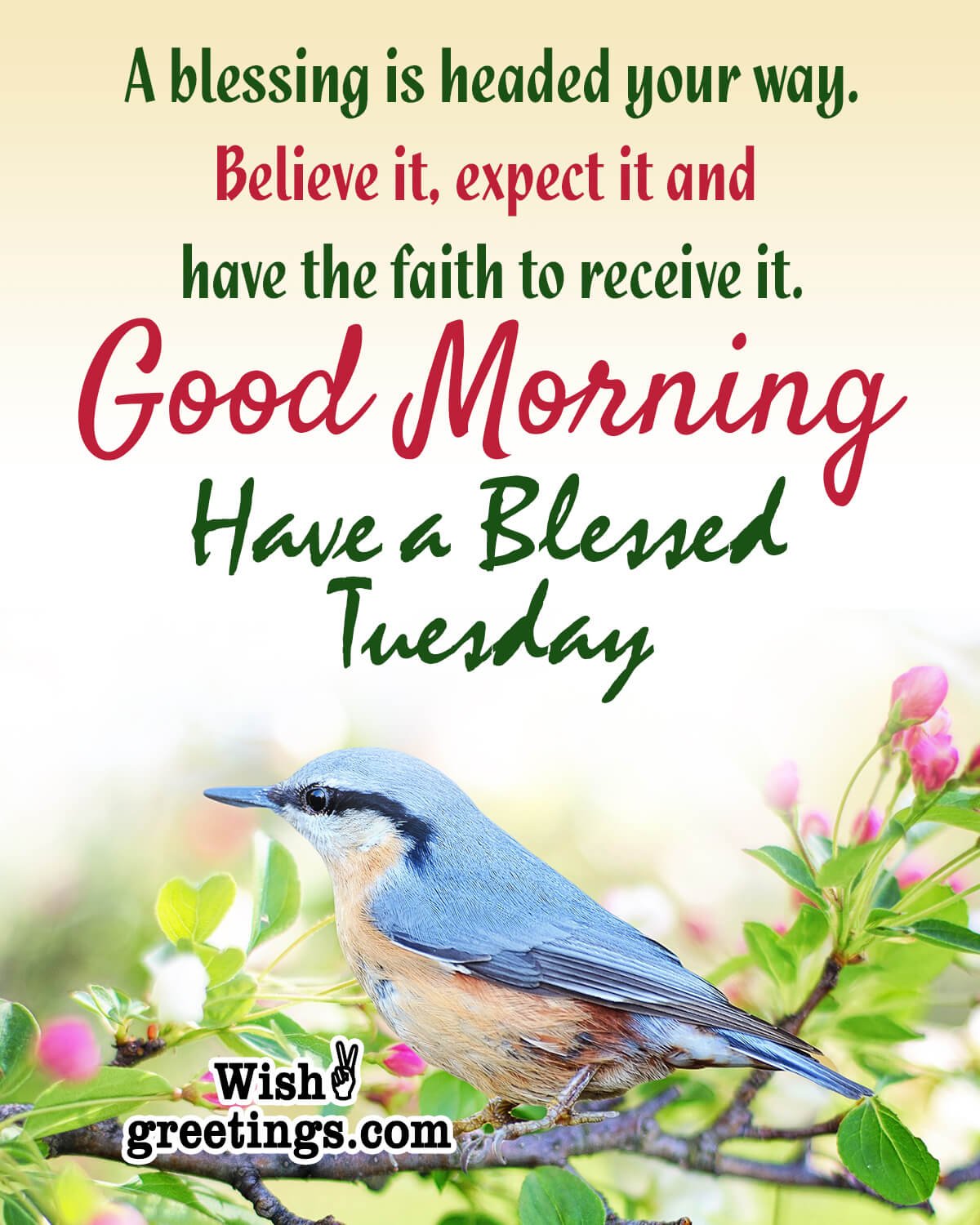 good morning tuesday quotes