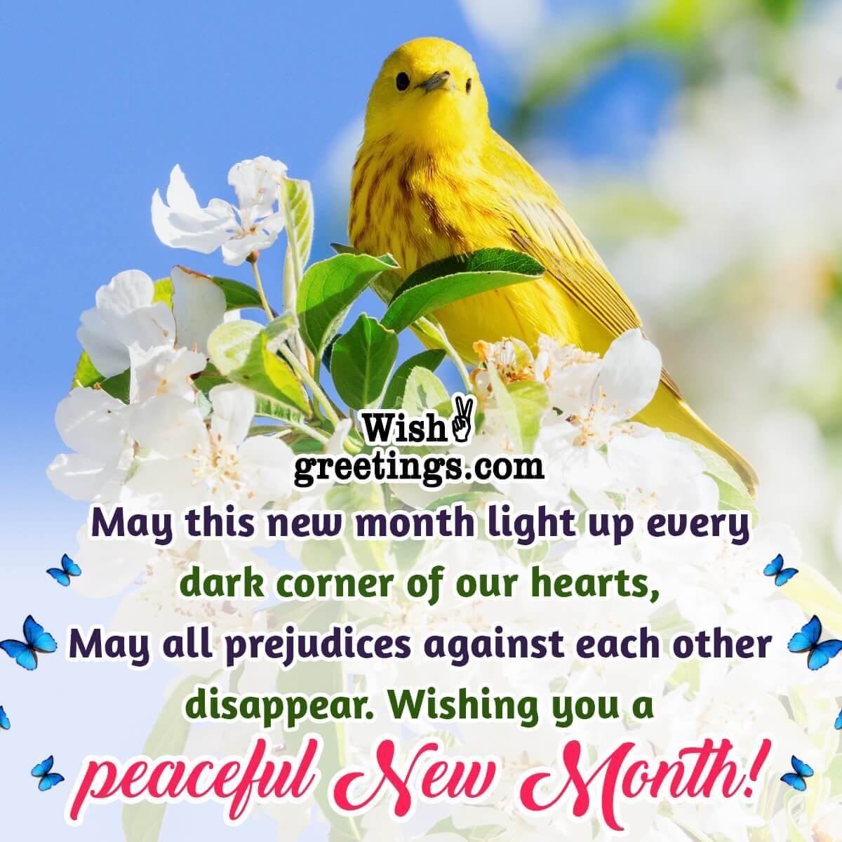 Peaceful New Month Wish Picture