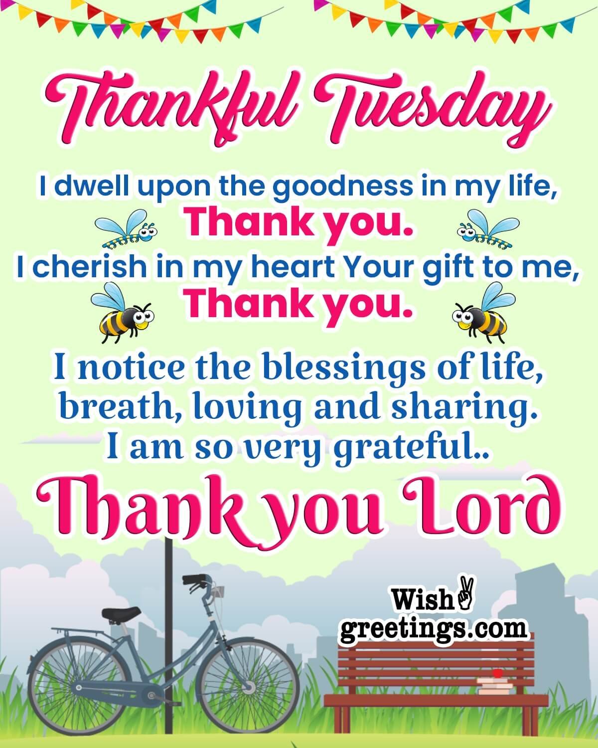 Thankful Tuesday Status Blessings